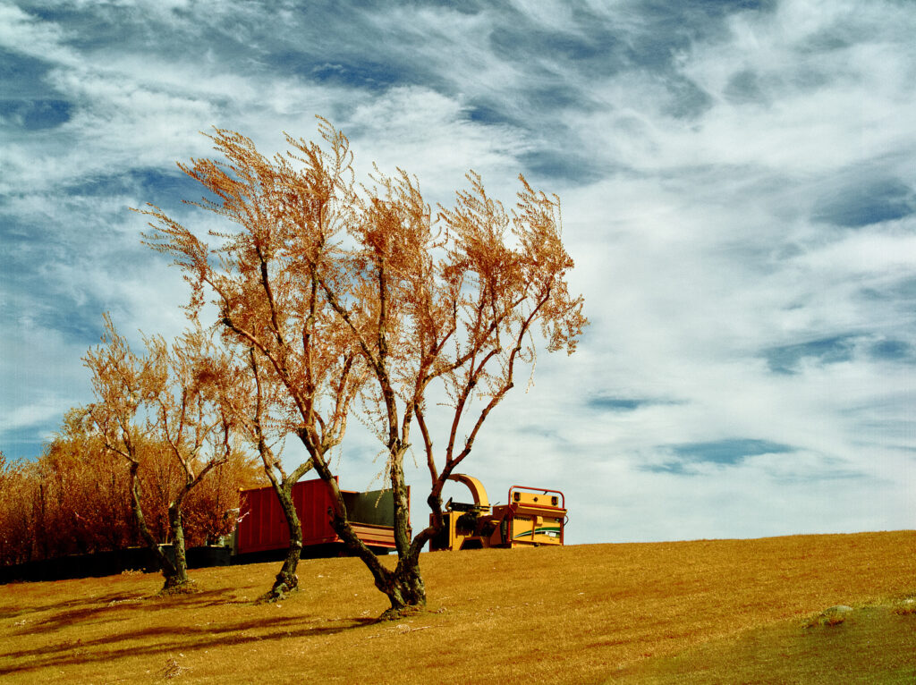 Wood Chipper